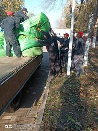 27431866008b72250e38e1b3a700a28