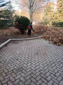 1d64478cfd26c559f7b259017af24cf