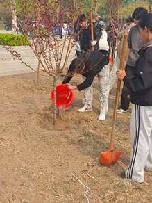 28c887a99a9ba180341ed1343224fdd