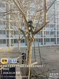 微信图片_20260407071216